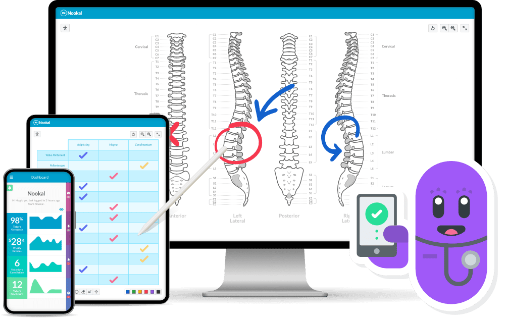 Clinical Spine Therapy Charting Nookal Software
